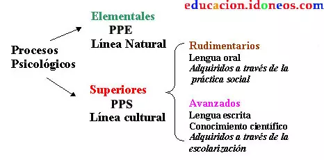 Clasificación de los Procesos Psicológicos según Vigotsky